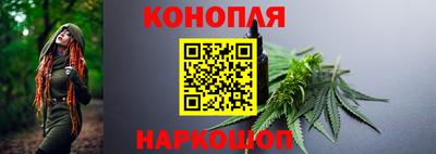 гашик Гай